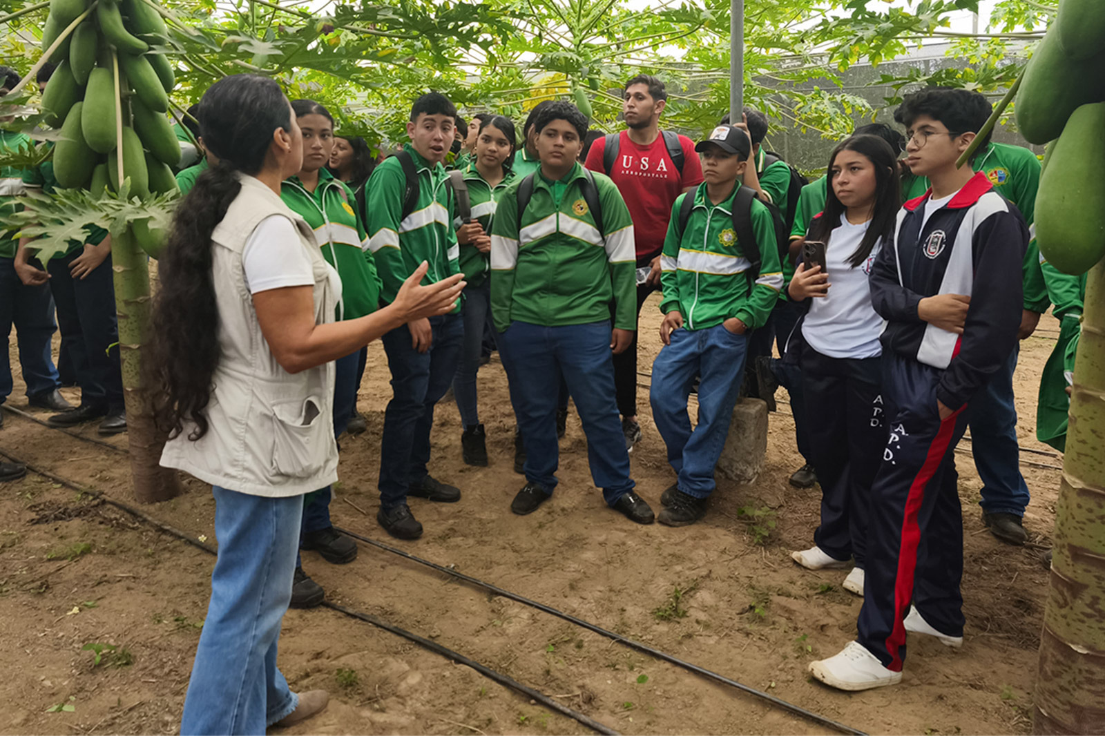 green-house-agricultura-org-2