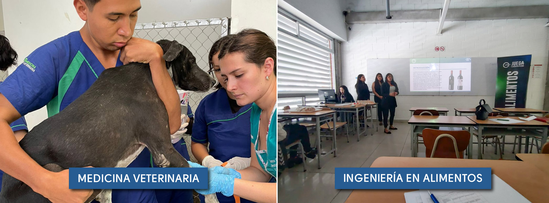 proyectos-integradores-ute-5
