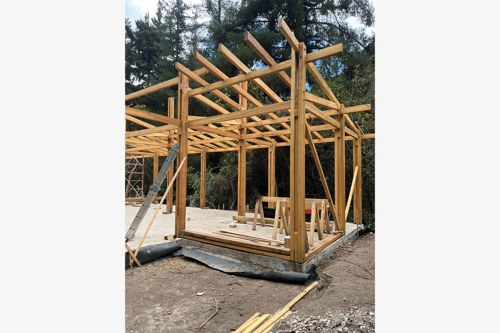 9-const-edf-fonag-gal3