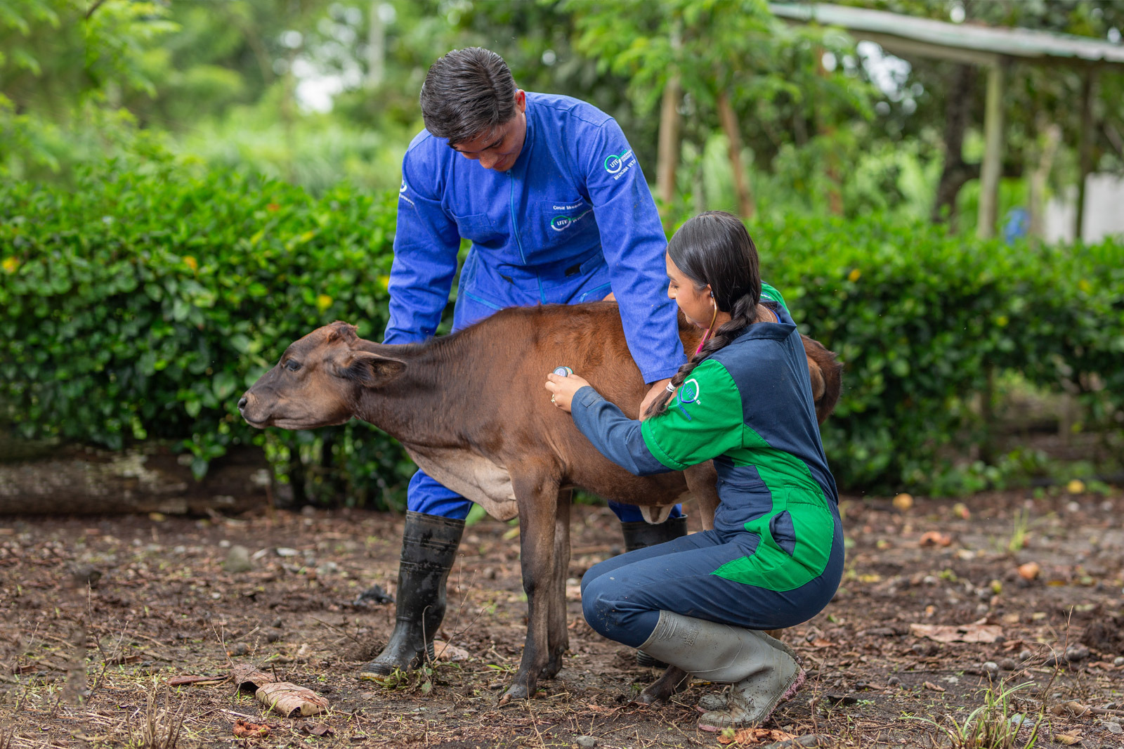 UTE Feria Nacional Gyr y Girolando 2025
