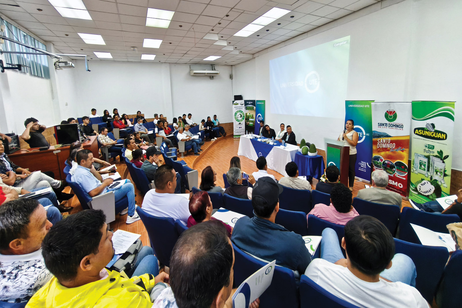 gestion-comercial-guanabana-sto-3