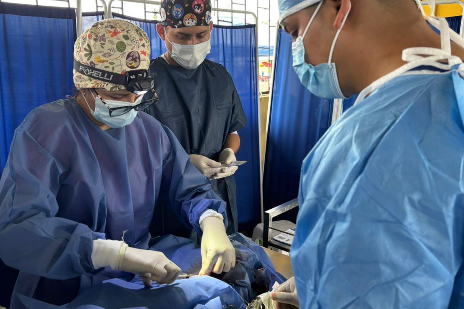 campaña-esterilizacion-chiguilpe-3