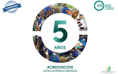 acreditación internacional Medicina Veterinaria UTE