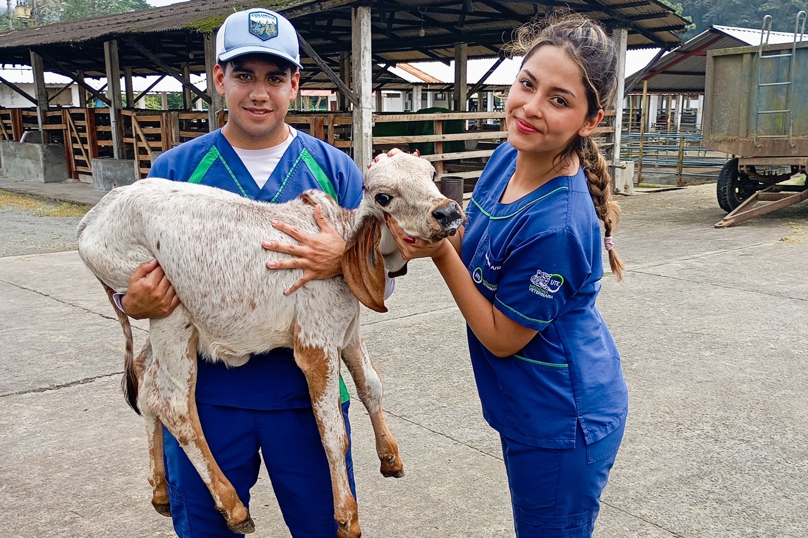 proyectos-integradores-feb-5