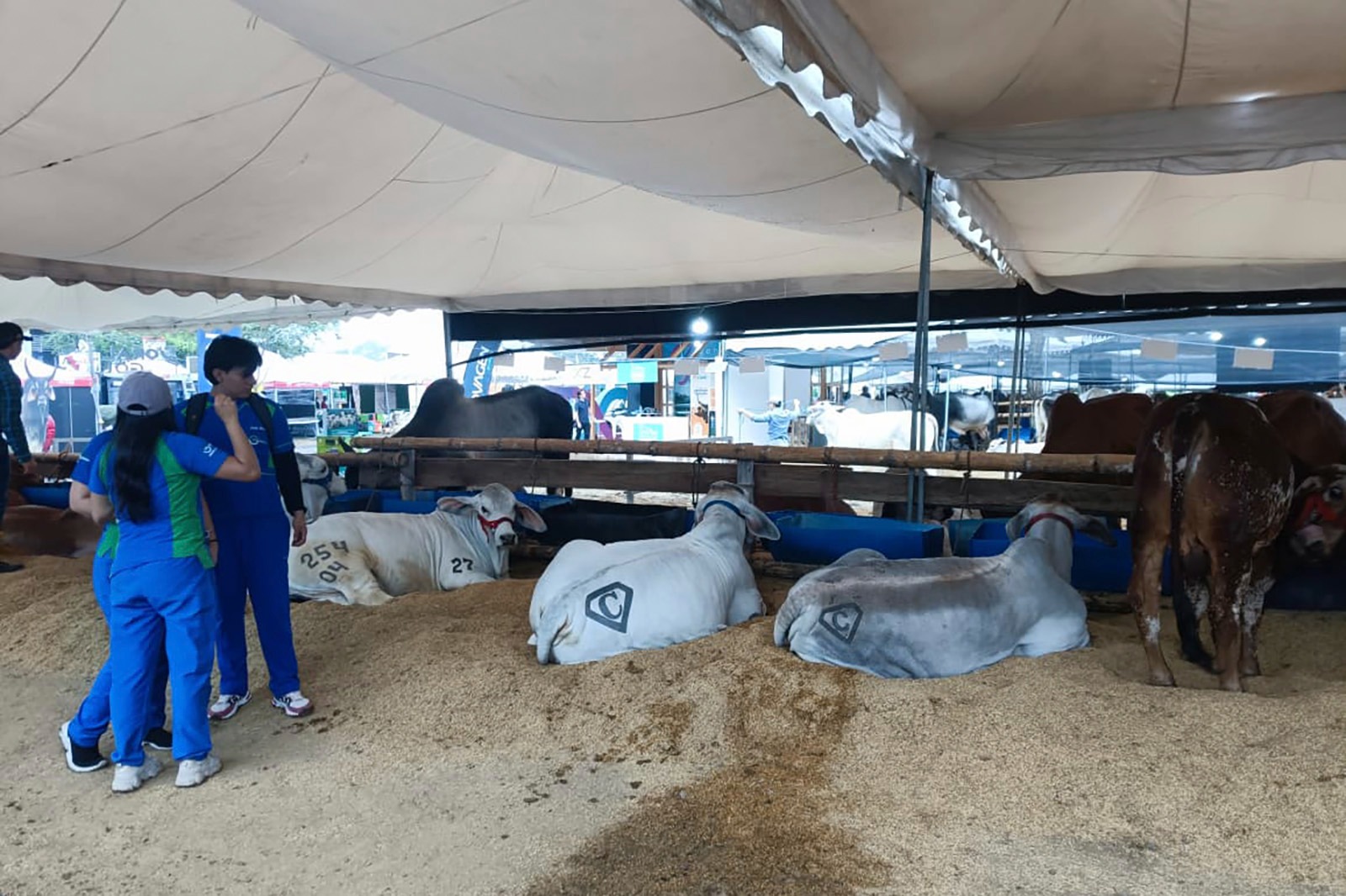 altos-estandares-expocebu25-sto-3