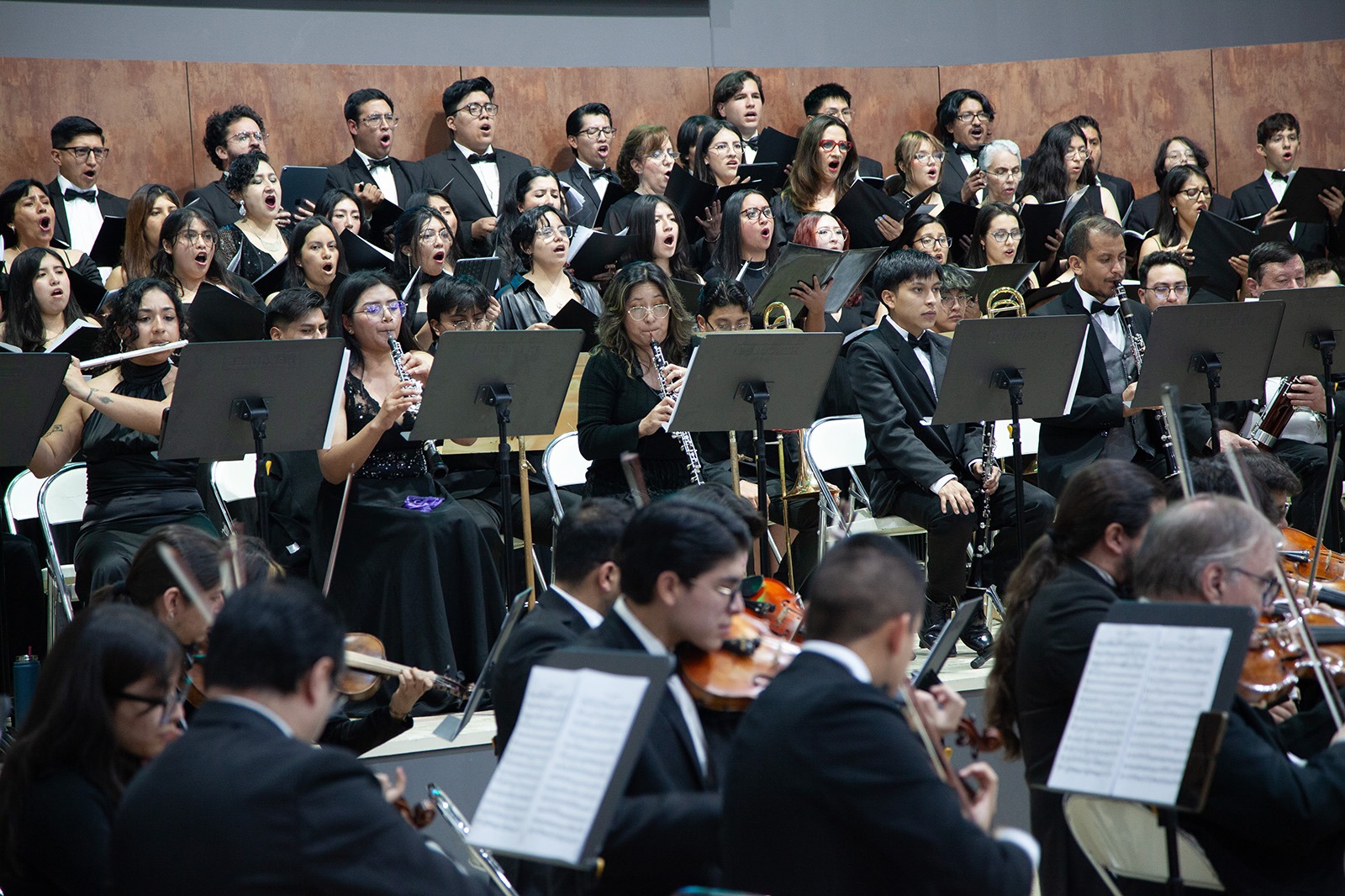 concierto-novena-sinfonia-beethoven-2