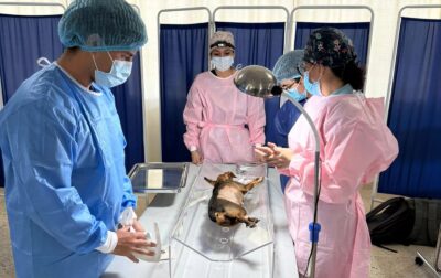 Jornada Comunitaria de Esterilización y Bienestar Animal San Jacinto de Búa