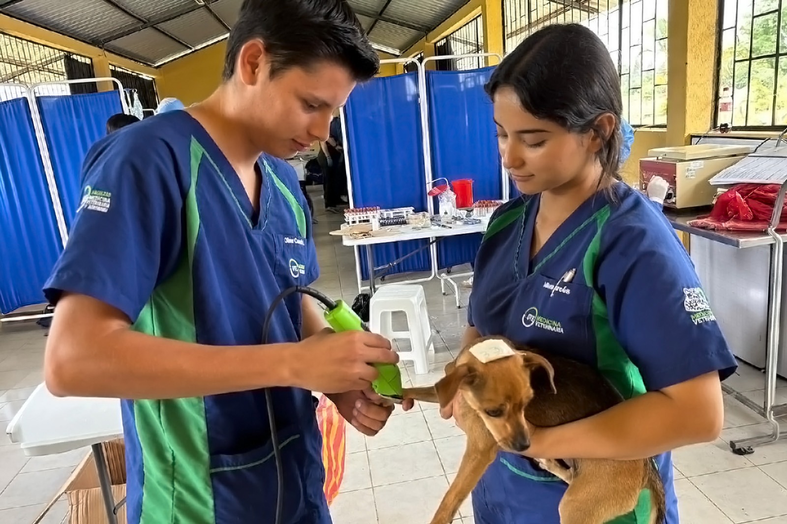 veterinaria-proyecto-vinculacion-sto-2