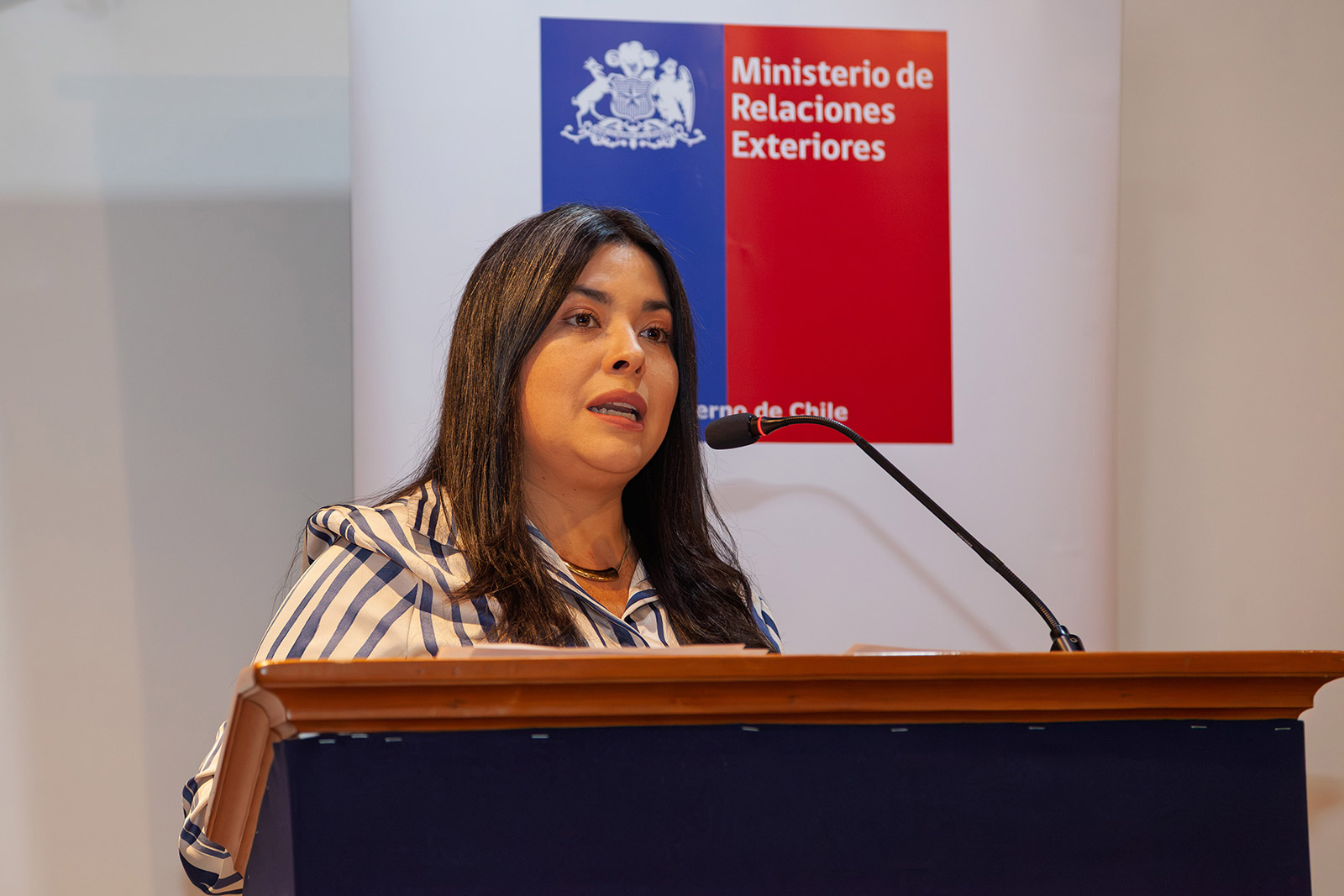 desafios-nueva-mineria-2